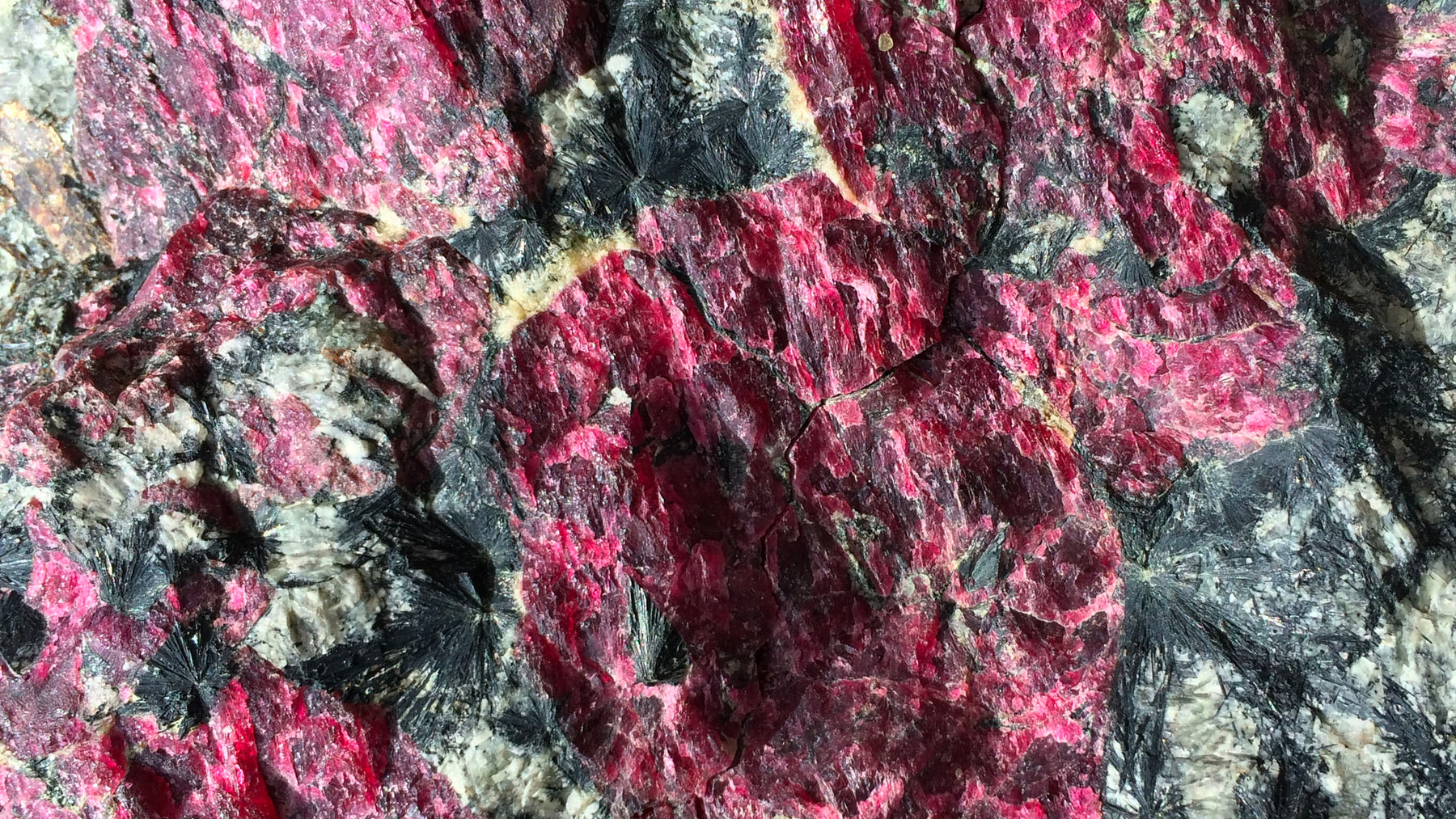 Eudialyte Siberian ruby colored healing gemstone