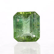 Green Tourmaline Octagon Facet 5.5ct