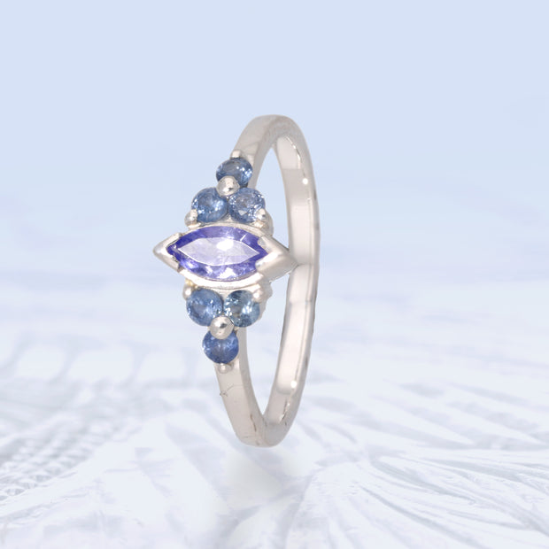Tanzanite & Kyanite Ring Size 7