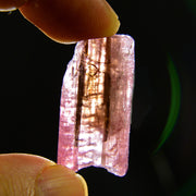 Bicolor Raw Pink Tourmaline Crystal - 46 ct