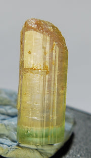 Wonderful Bi-Colored Tourmaline Crystal with Clear Color and Transparency